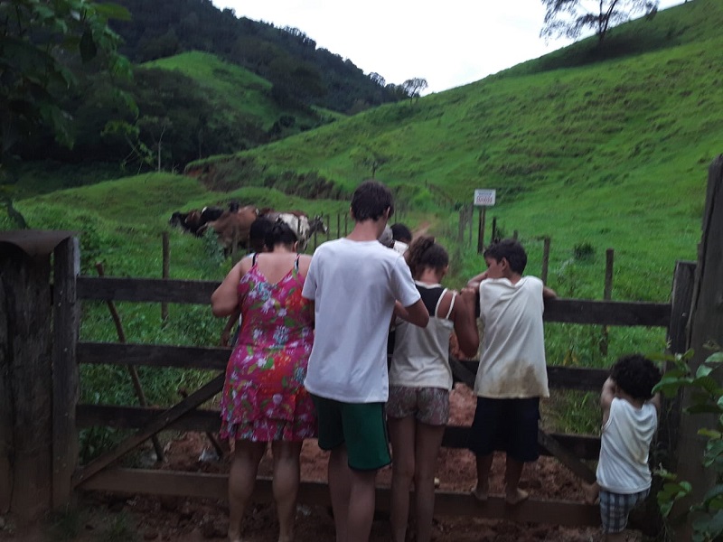 Crianças pulam a porteira para seguirem caminho. (Foto: Divulgação)