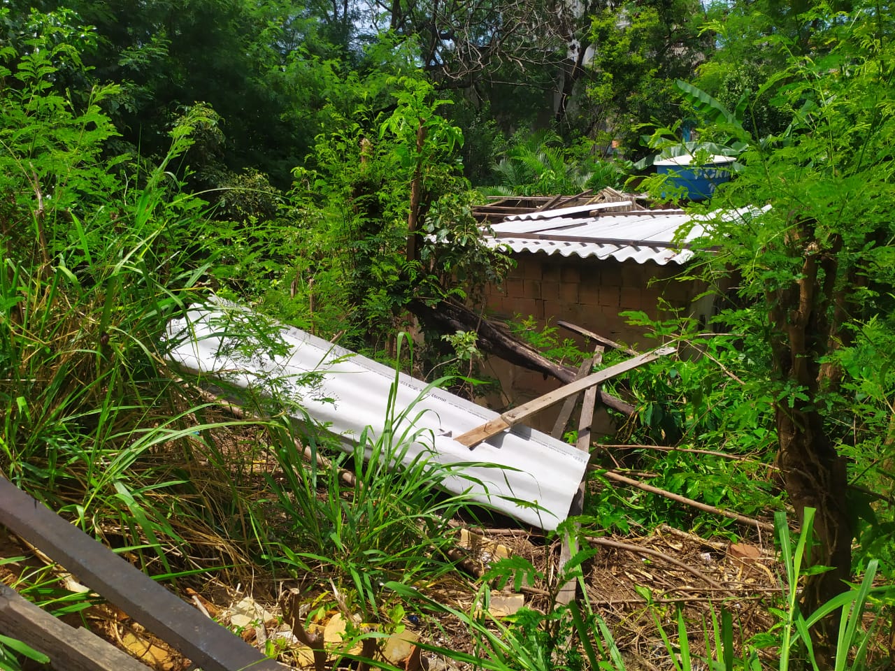 Terreno do suspeito teria sido invadido pela vítima (Foto: Júlia Afonso)