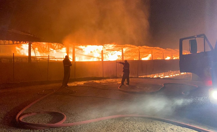 Incêndio atinge granja na região Serrana do Estado (Foto: Reprodução)