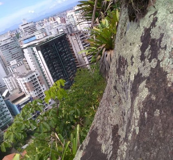 Pai e filho ficaram presos em local de difícil acesso no Morro do Moreno. (Foto: Divulgação Instagram)