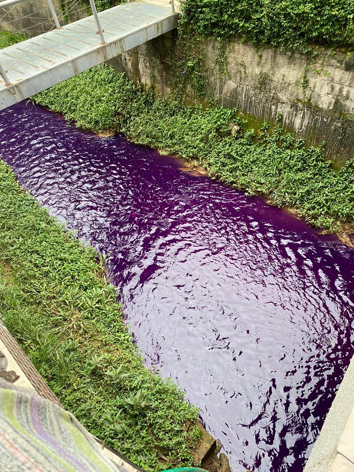 Parte do Rio São Luis, que amanheceu na cor roxa (Foto: Frederico Reblin / Compartilhado via WhatsApp)