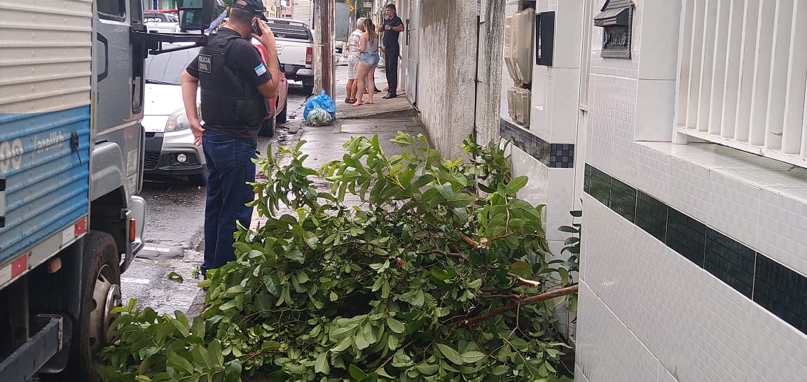 Discussão por causa da poda de uma árvore aconteceu em Campo Grande, Cariacica (Foto: Antonio Moreira/ AT/ 24/01/2020)