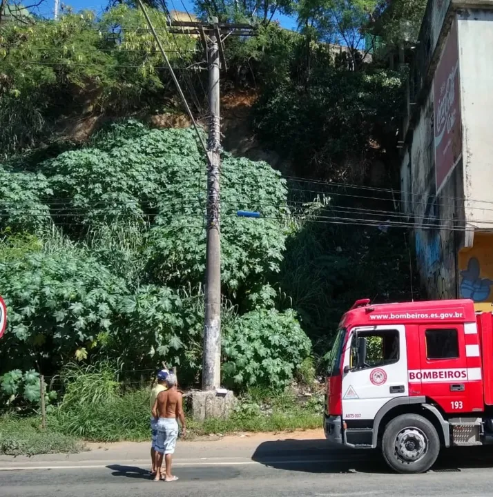 Imagem ilustrativa da imagem Corpo é encontrado em barranco às margens da BR-262