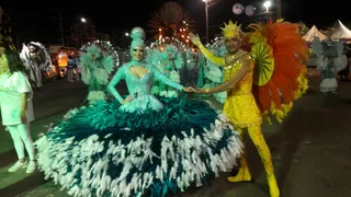 Imagem ilustrativa da imagem Piedade leva show de cores e alegria para avenida