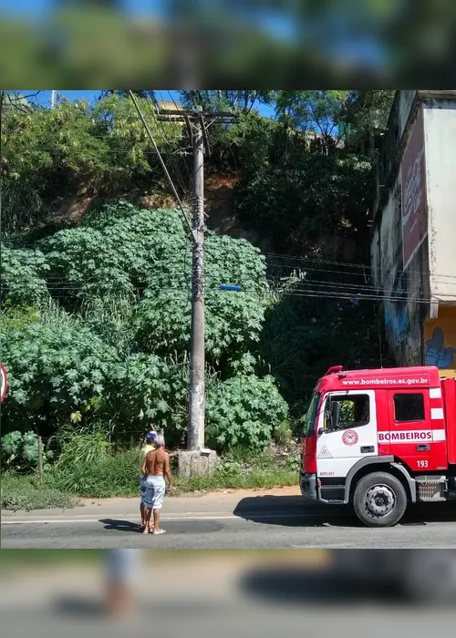 Imagem ilustrativa da imagem Corpo é encontrado em barranco às margens da BR-262