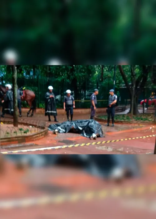 Imagem ilustrativa da imagem Cavalo da PM morre eletrocutado ao pisar em bueiro de praça