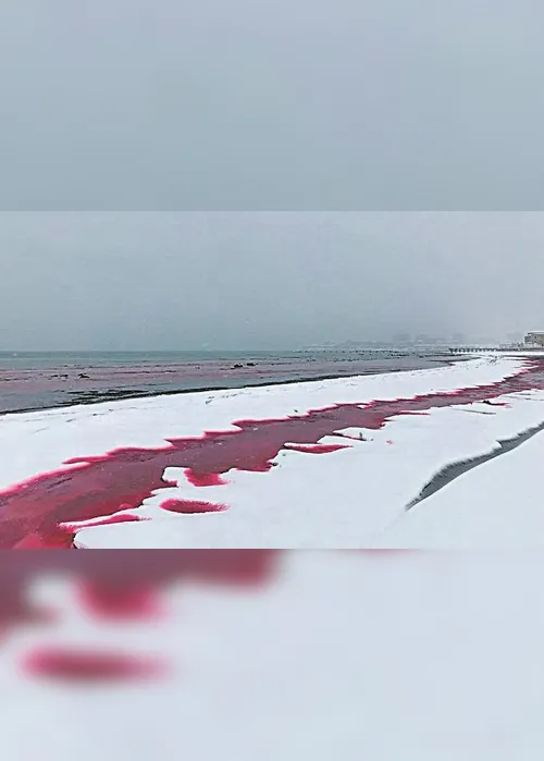 Imagem ilustrativa da imagem Mar se transforma em “sangue” na Ásia