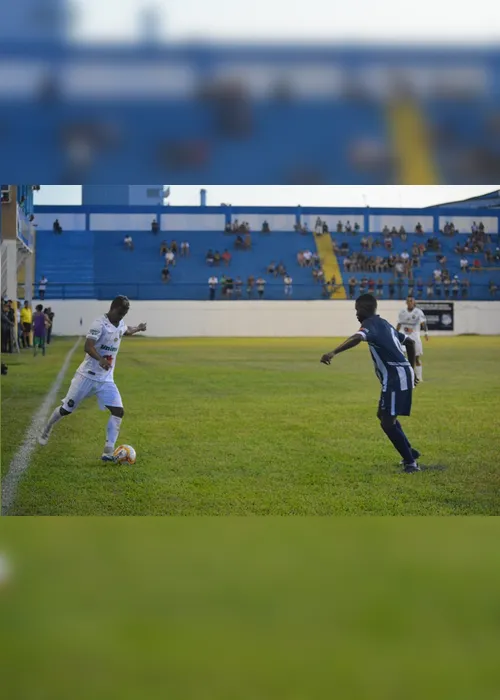 Imagem ilustrativa da imagem Pitbull morde o Rio Branco no Sernamby