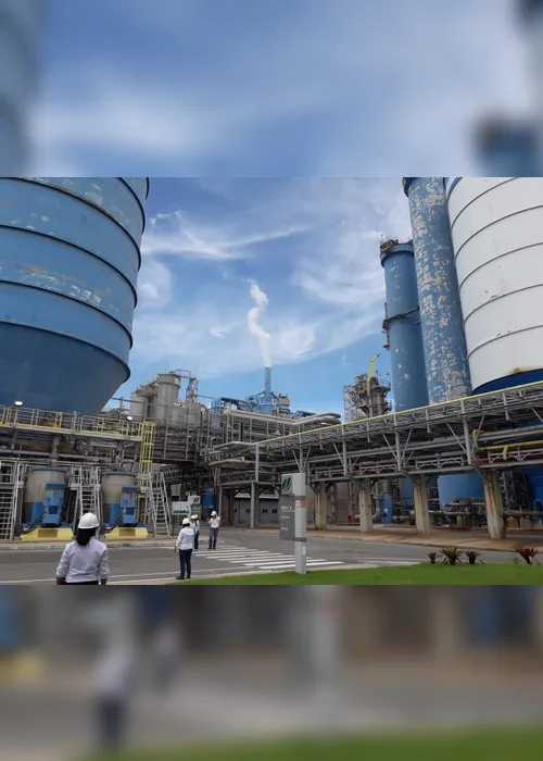 Imagem ilustrativa da imagem Empresas abrem 2.598 empregos a partir desta segunda-feira