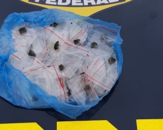 Veículo que transportava a droga foi abordado na BR-101, em Cariacica. (Foto: Divulgação PRF)