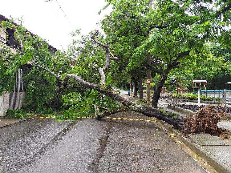 (Foto: Divulgação/Arquivo Pessoal)