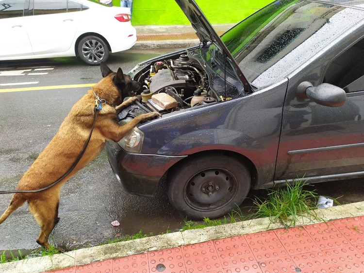 A cadela Kira encontrou a barra de crack escondida dentro do forro, por baixo do câmbio de marcha (Foto: Divulgação/PMES)