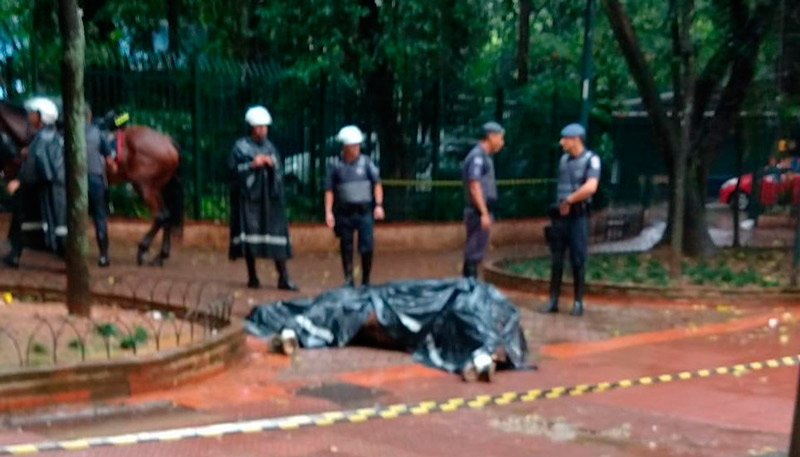 Animal morreu na praça (Foto: Divulgação)