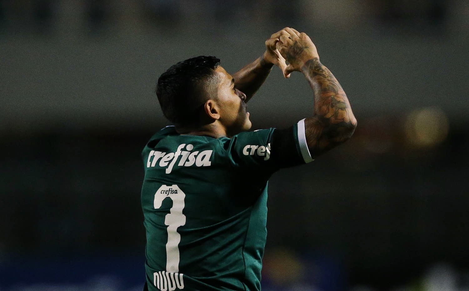 Dudu (Foto: Twitter / Palmeiras)
