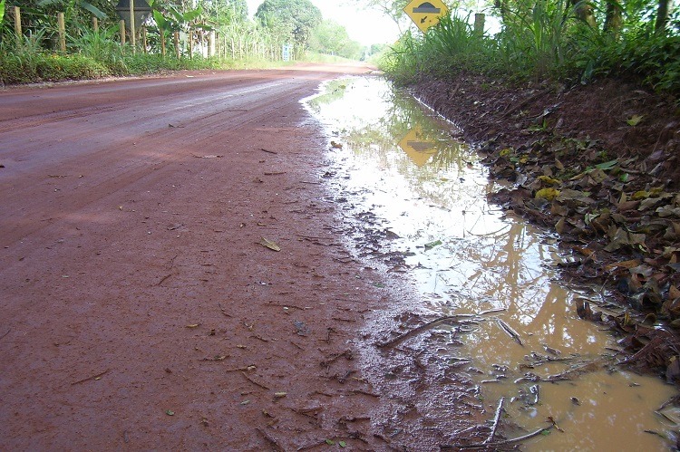 Estrada de acesso à Regência (Foto: Wilton Júnior)