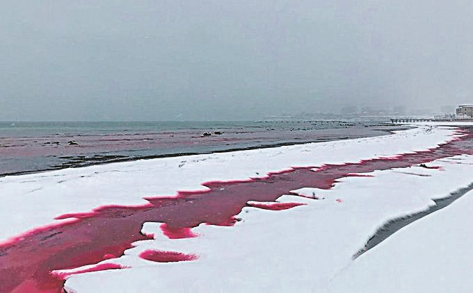 Litoral da cidade de Aktau, no mar Cáspio: vermelho-sangue (Foto: Reprodução/ Twitter)