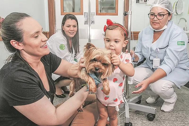 Imagem ilustrativa da imagem Visita de cãozinho emociona menina de 2 anos em UTI
