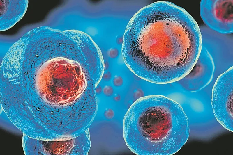 Imagem ilustrativa da imagem Segundo paciente com HIV é curado do vírus