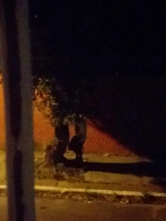 Imagem ilustrativa da imagem Suspeito é preso se masturbando em frente a abrigo de menores