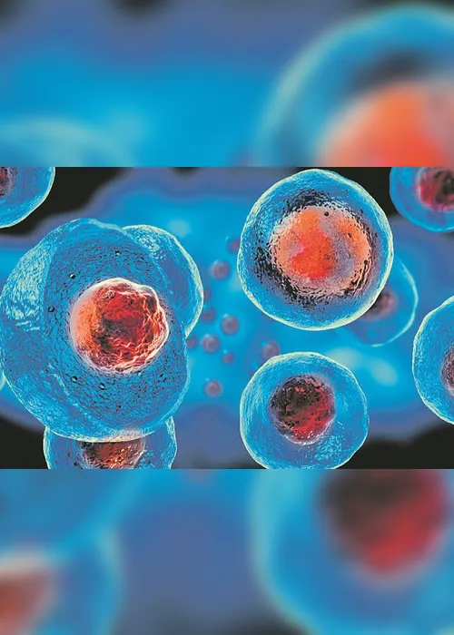 Imagem ilustrativa da imagem Segundo paciente com HIV é curado do vírus