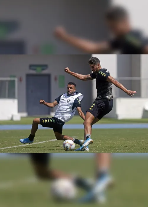 Imagem ilustrativa da imagem Mesmo com liberação, Botafogo segue sem data para voltar aos treinos