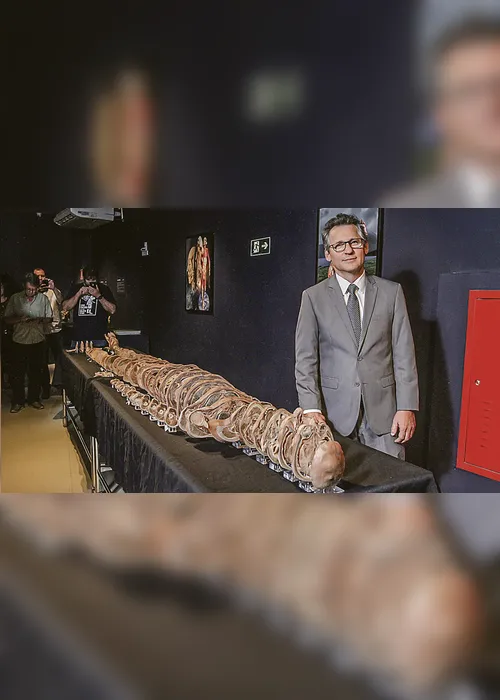 Imagem ilustrativa da imagem Novidades em museu do corpo humano na Ufes
