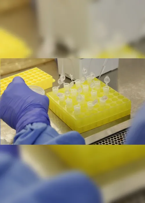 Imagem ilustrativa da imagem Perda de olfato pode indicar infecção pelo novo coronavírus