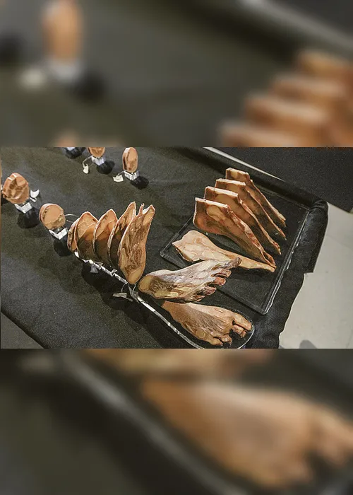 Imagem ilustrativa da imagem Novidades em museu do corpo humano na Ufes