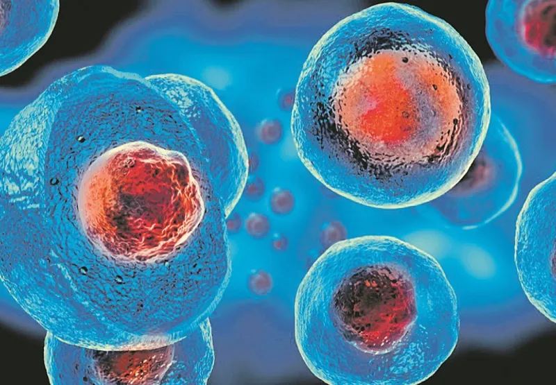 Tratamento com células-tronco:   não há sinais de vírus nas amostras de sangue de paciente, diz pesquisa