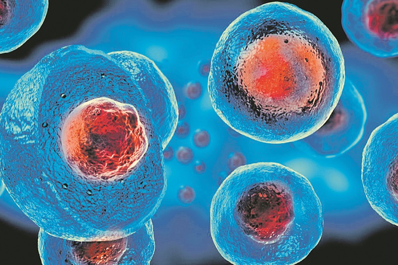 Tratamento com células-tronco: não há sinais de vírus nas amostras de sangue de paciente, diz pesquisa (Foto: Divulgação)