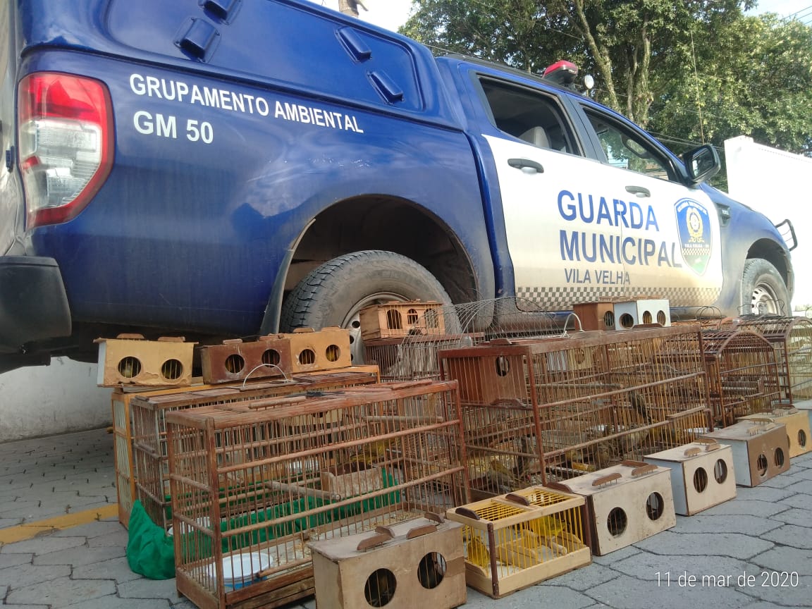 Os animais estavam presos em gaiolas e ficavam dentro de uma casa no bairro Garoto. (Foto: Divulgação/Guarda Municipal de Vila Velha)