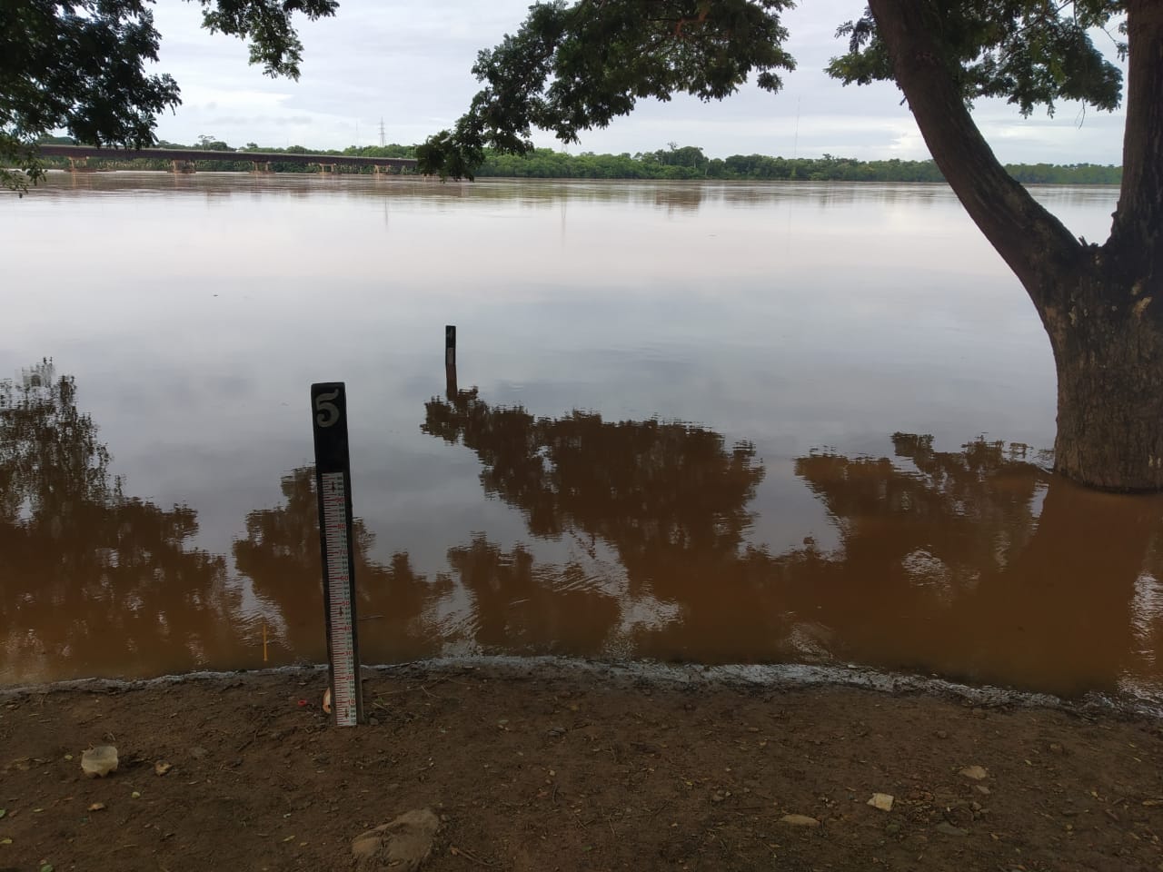 Rio Doce em Linhares (Foto: Cássio de Souza)