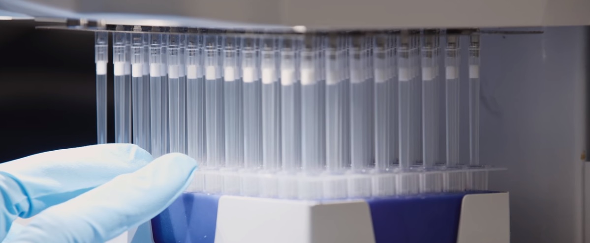 Trecho do trailer de "Pandemia" (Foto: Reprodução/ Netflix)