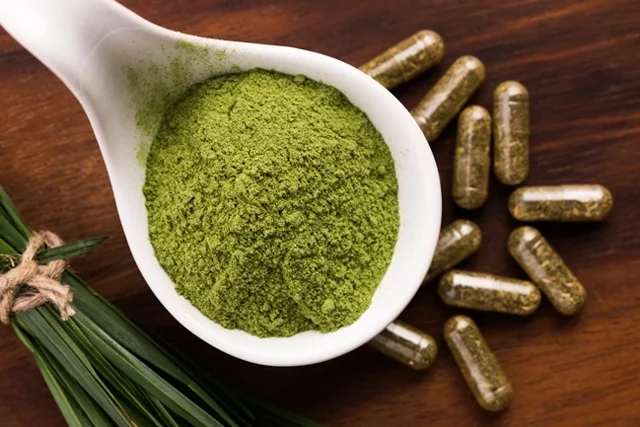 Imagem ilustrativa da imagem A spirulina já faz parte da sua rotina alimentar?