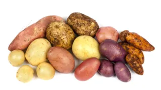 Imagem ilustrativa da imagem 5 melhores alimentos para ganhar massa muscular