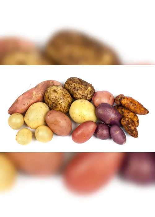 Imagem ilustrativa da imagem Posso comer batata doce, inhame e aipim?