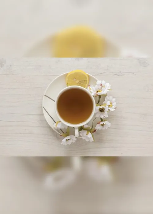 
          Imagem ilustrativa da imagem Chá, um super aliado da boa saúde
          