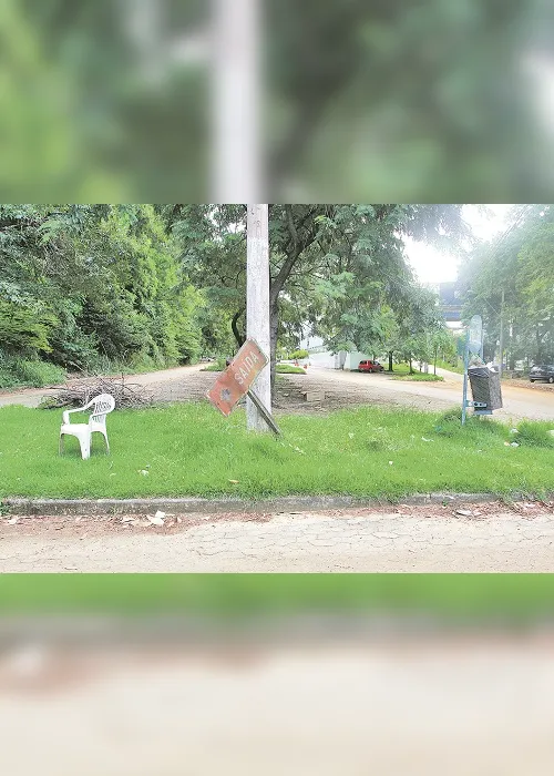 
          Imagem ilustrativa da imagem Mosquito e lixo no Hemocentro
          