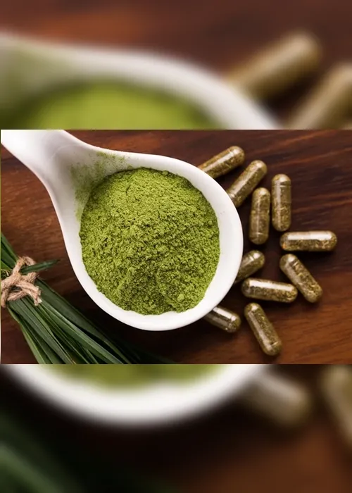Imagem ilustrativa da imagem A spirulina já faz parte da sua rotina alimentar?
