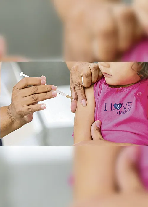 Imagem ilustrativa da imagem Anvisa alerta sobre falsificação de vacina contra gripe