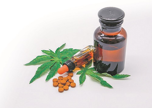 Remédios à base de maconha (Foto: Reprodução Internet)