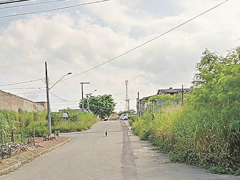 Mato alto em ruas do bairro Alterosas, na Serra. (Foto: Patrícia dos Santos Silva)