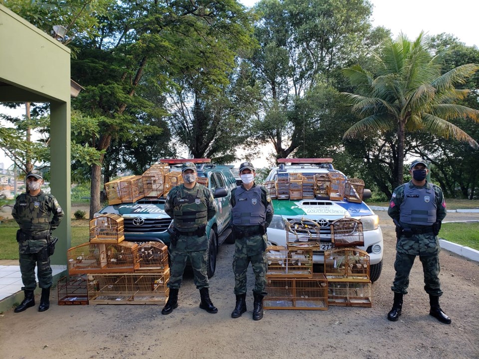 Policiais apreenderam aves e gaiolas (Foto: Divulgação Polícia Militar)
