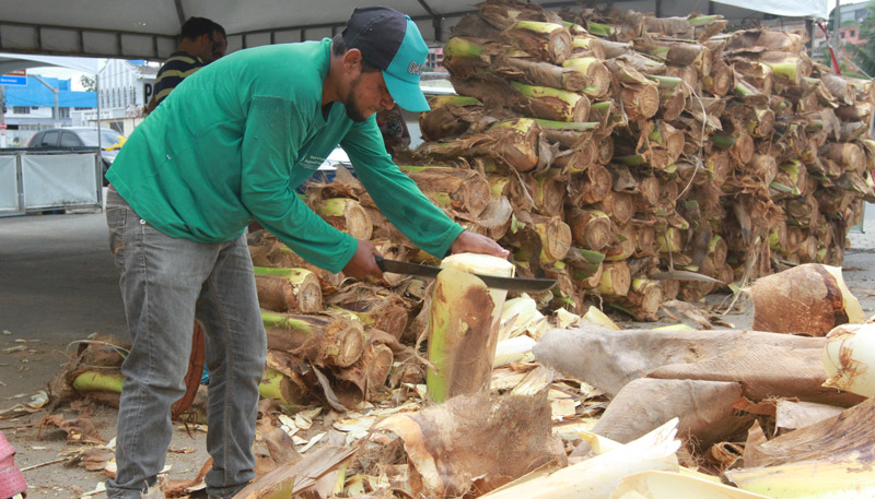 Venda de palmito está sendo feita na Região próxima ao Sambão do Povo. (Foto: Kadidja Fernandes / AT)