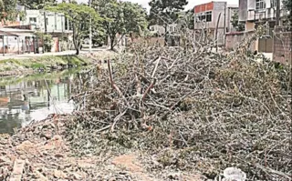 Imagem ilustrativa da imagem Lixo acumulado