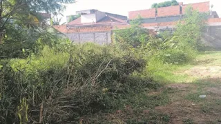 Imagem ilustrativa da imagem Lotes sujos e cheios de mato em Vila Velha