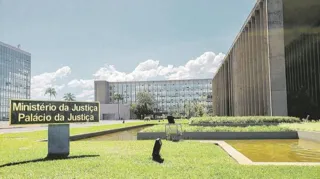 Imagem ilustrativa da imagem Uma coisa por vez