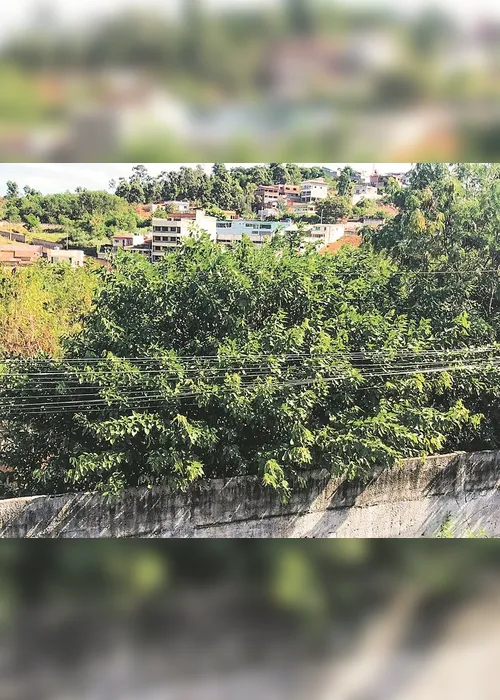 
          Imagem ilustrativa da imagem Área de antiga escola abandonada e suja
          