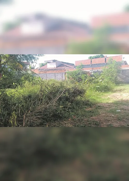 Imagem ilustrativa da imagem Lotes sujos e cheios de mato em Vila Velha