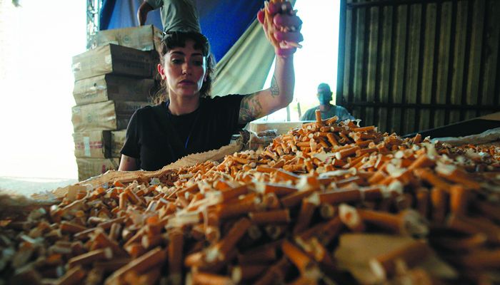 (Foto: Divulgação)